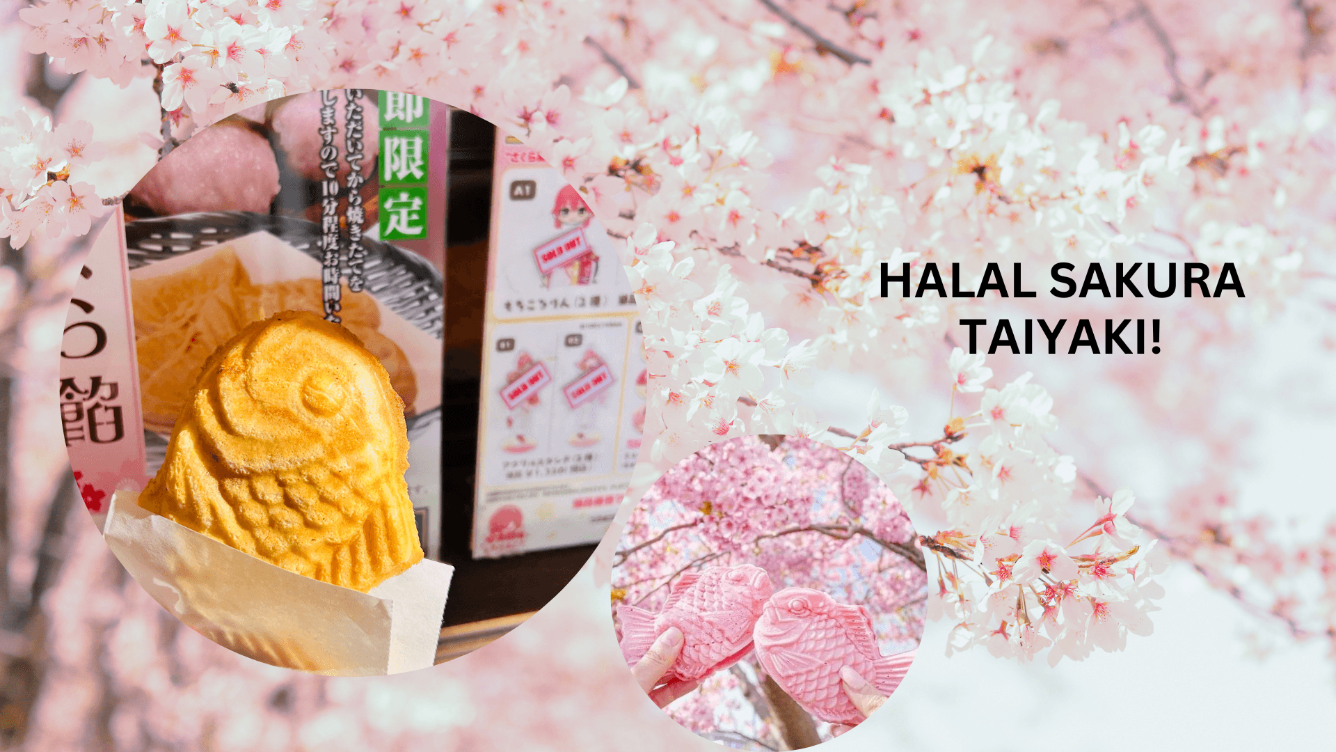 春限定!ムスリムフレンドリーな桜もちたい焼き!
